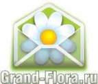 Логотип компании Доставка цветов Гранд Флора (ф-л г.Елабуга)